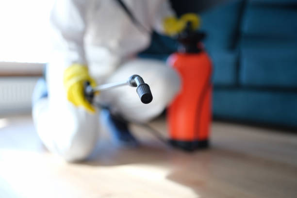 Best Air Quality Testing for Mold Spores  in New Deal, TX